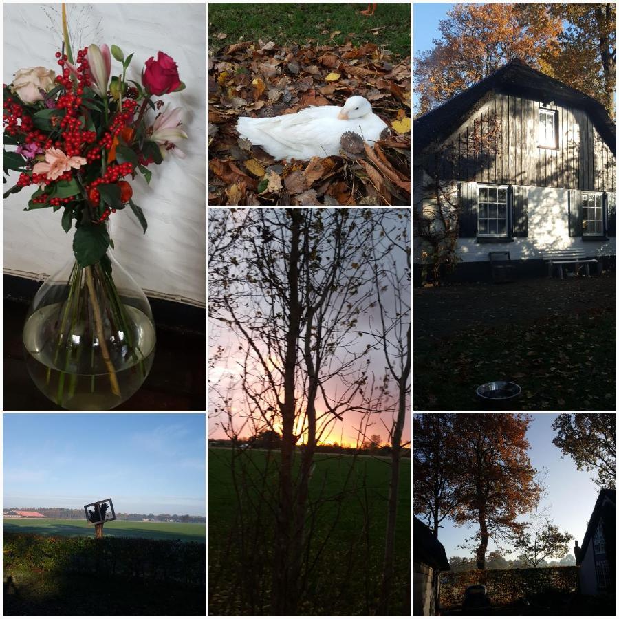 Bed and Breakfast Grenier'S Punthorst Екстер'єр фото