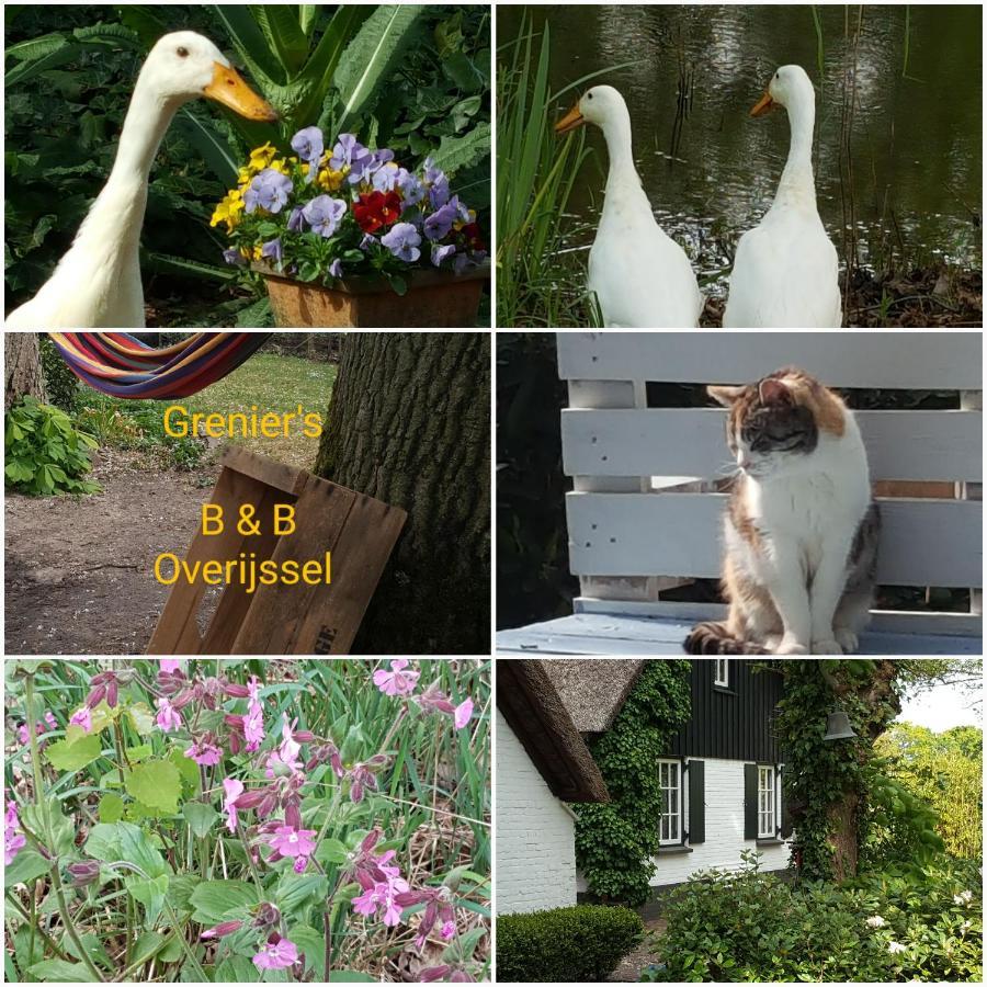 Bed and Breakfast Grenier'S Punthorst Екстер'єр фото